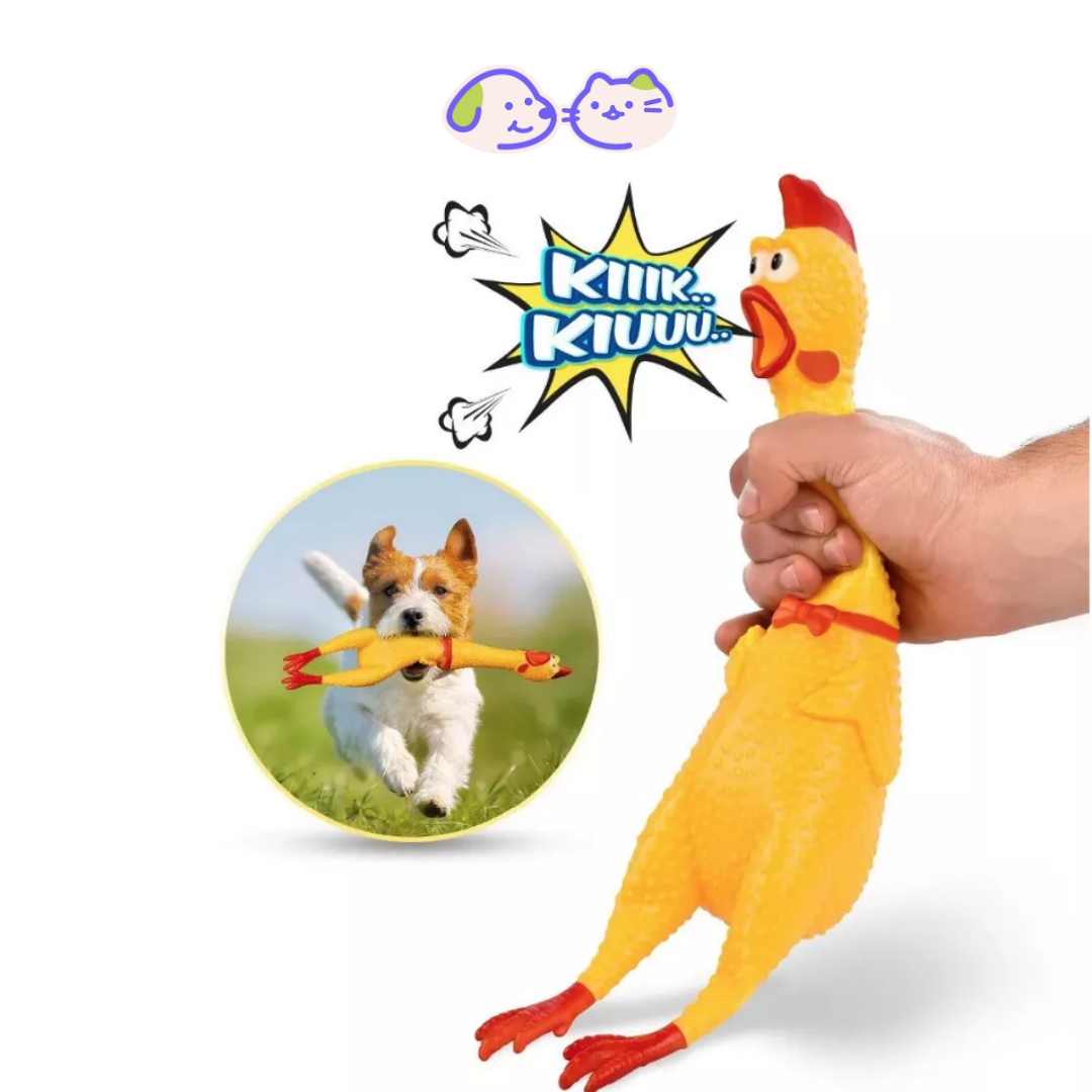 Juguete pollo chillón